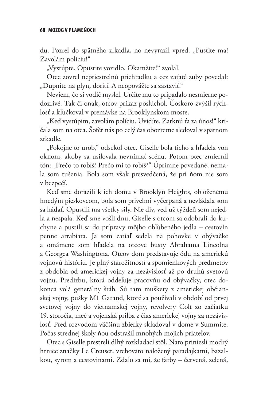 Mozog v plameňoch. Môj mesiac šialenstva